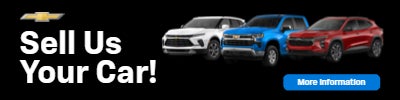 Sell Us Your Car!